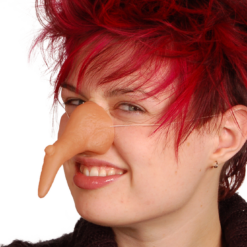 Smiffys Witch Nose Harry Potter