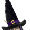 Smiffys Harry Potter Witch Or Wizard Hat With Twig