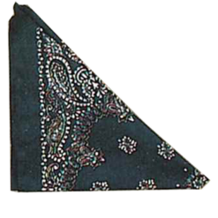 Bristol Novelty Book Characters Blue Bandana Accessory