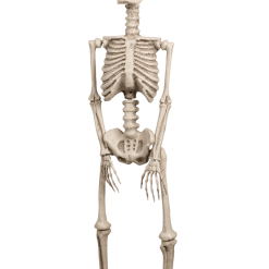 Boland Skeleton Halloween Decoration All Party Decorations And Props