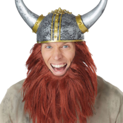 California Costumes Vikings Viking Getup Accessory