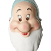 Rubies Seven Dwarfs Bashful Mask Book Characters