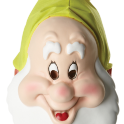 Rubies Seven Dwarfs Happy Mask Book Characters