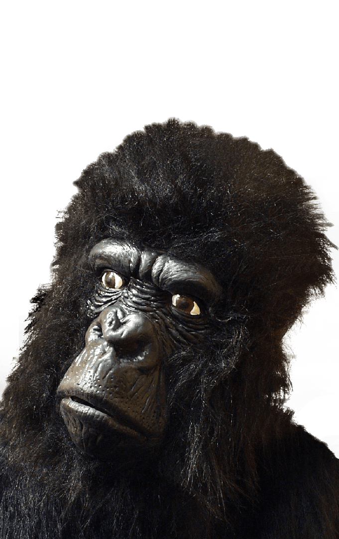 Smiffys Large Gorilla Facepiece With Hair Animals 1 Smiffys Large Gorilla Facepiece With Hair Animals