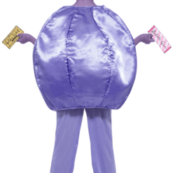 Smiffys Kids Violet Beauregarde Costume Book Characters