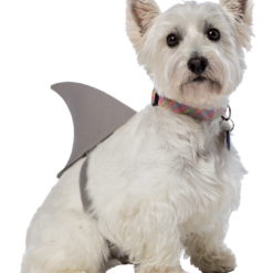 Rasta Imposta Shark Fin Dog Costume