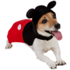 Rubies Mickey Mouse Dog Costume