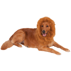 Rubies Animals Lion Mane Dog Accessory