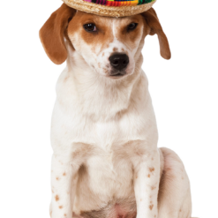 Rubies Enchiwawa Sombrero Dog Costume Around The World