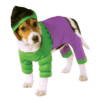 Rubies Movies Incredible Hulk Dog Costume