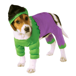 Rubies Movies Incredible Hulk Dog Costume