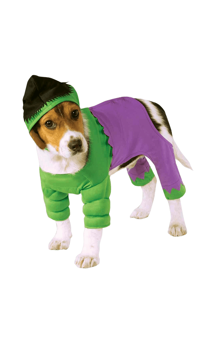 Rubies Movies Incredible Hulk Dog Costume 1 Rubies Movies Incredible Hulk Dog Costume