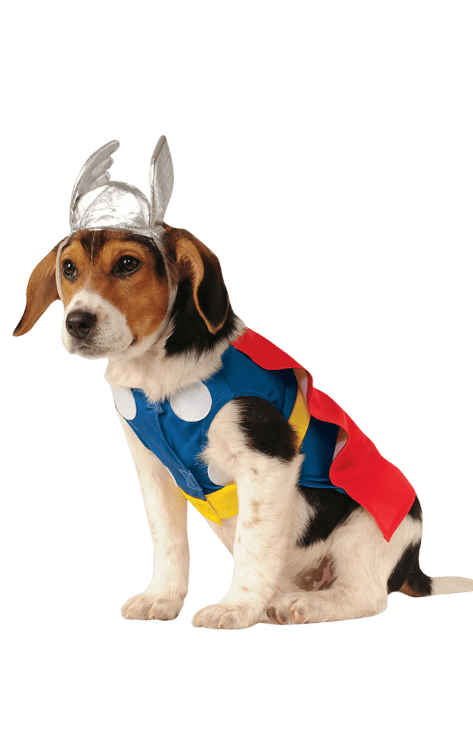 The best choice to stay at home Rubies Movies Thor Dog Costume