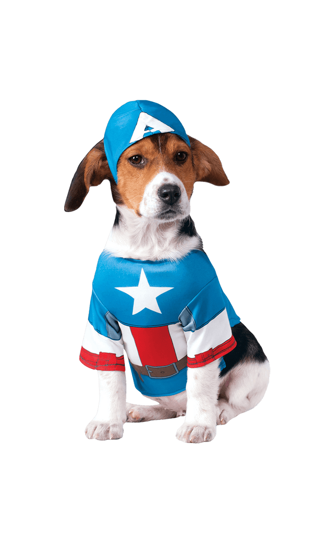 Rubies Captain America Dog Costume Movies 1 Rubies Captain America Dog Costume Movies