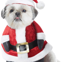 California Costumes Santa Paws Christmas Dog Costume
