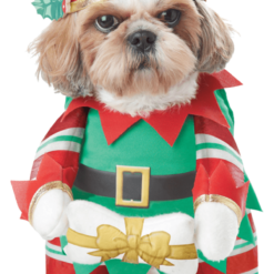 California Costumes Elf Pup Christmas Dog Costume