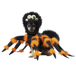 California Costumes Spider Dog Costume Animals
