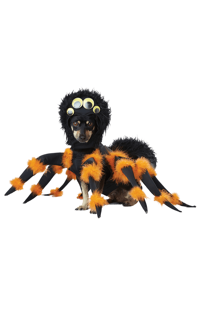 California Costumes Spider Dog Costume Animals 1 California Costumes Spider Dog Costume Animals