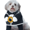 California Costumes Wedding Puppy Groom Dog Costume