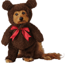 California Costumes Teddy Bear Dog Costume Animals