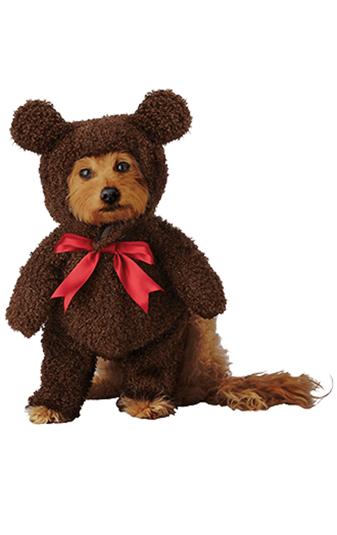 California Costumes Teddy Bear Dog Costume Animals 1 California Costumes Teddy Bear Dog Costume Animals