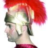Generic Roman Soldiers Helmet Accessory