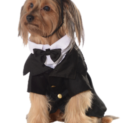 Rubies Best In Show Dog Costume