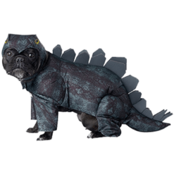 California Costumes Stegosaurus Dog Costume