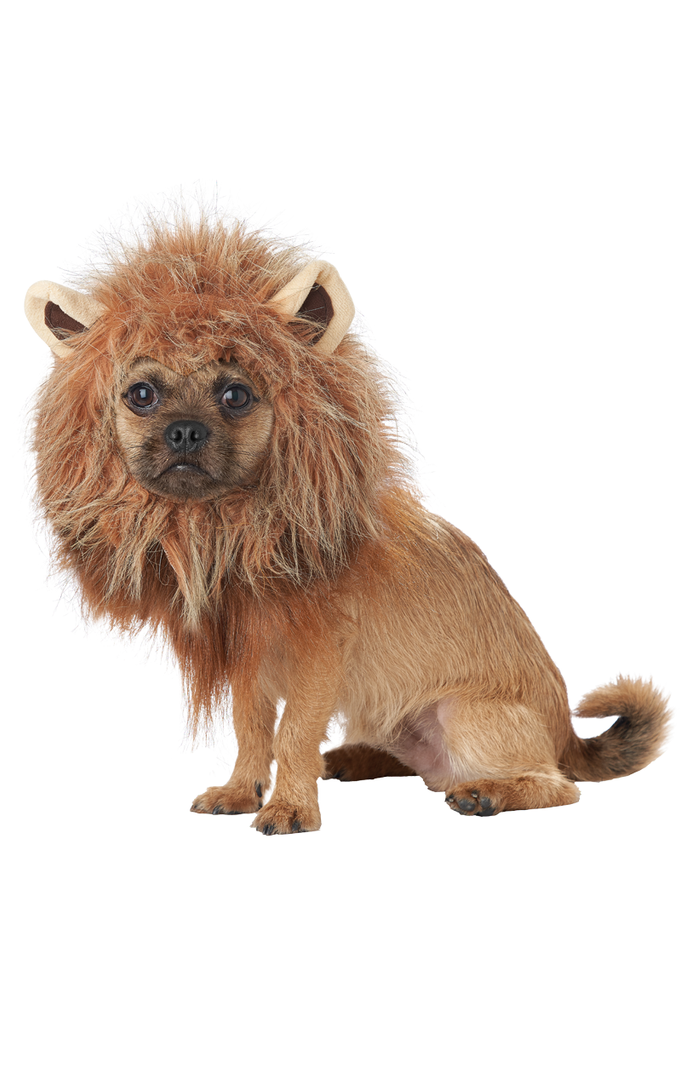 California Costumes King Of The Jungle Dog Costume 1 California Costumes King Of The Jungle Dog Costume