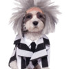 Rubies Beetlejuice Dog Costume
