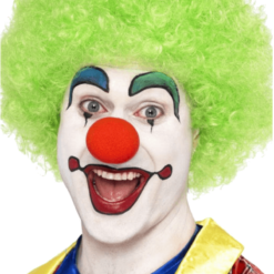 Bristol Novelty Green Clown Afro Wig Circus