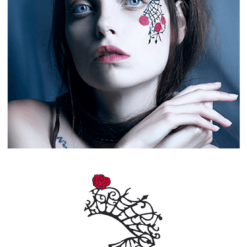 Generic Gothamour Face Lace Steampunk