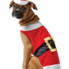 Rasta Imposta Santa Claws Dog Costume Christmas
