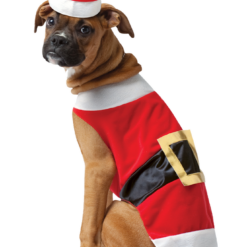 Rasta Imposta Santa Claws Dog Costume Christmas