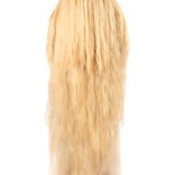 Orion Costumes Adult Hairy Relative Costume