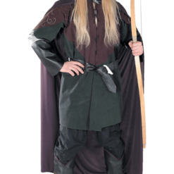 Rubies Book Characters Adult Lord Of The Rings Legolas Costume