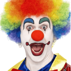 Bristol Novelty Circus Rainbow Clown Afro Wig