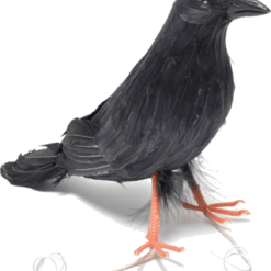 Bristol Novelty Evil Villains Black Crow Prop Accessory