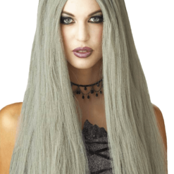 Palmer All Accessories Long Grey Wig