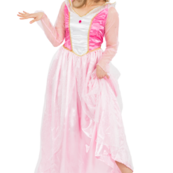 Orion Costumes Adult Classic Sleeping Beauty Costume Book Characters