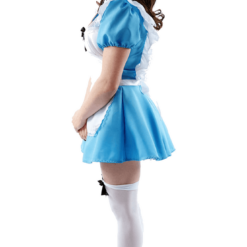 Orion Costumes Adult Original Alice In Wonderland Costume Book Characters