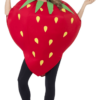 Smiffys Costumes Under £20 Unisex Strawberry Costume
