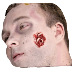 Mask World All Accessories Maggots Feast Prosthetic Make Up Kit