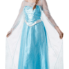 Rubies Book Characters Womens Frozen Elsa Costume