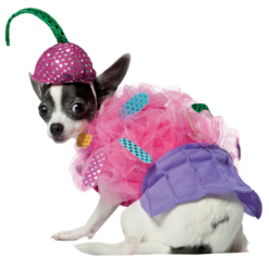 Rasta Imposta Treat Time Dog Costume