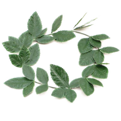 Bristol Novelty Green Roman Wreath Accessory