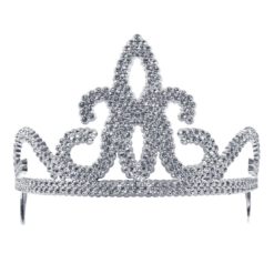 Bristol Novelty Book Characters Silver Tiara Accessory