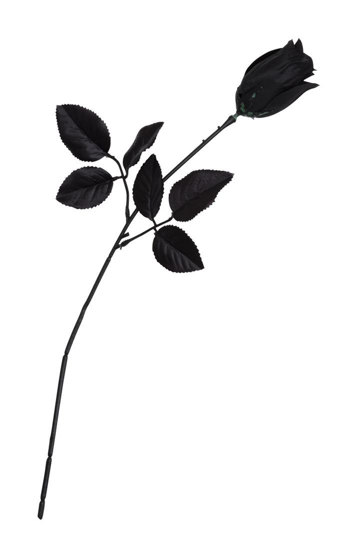 Bristol Novelty Single Black Rose Accessory 1 Bristol Novelty Single Black Rose Accessory