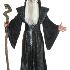 California Costumes Mystic Wizard Costume Harry Potter