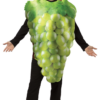 Rasta Imposta Adult Novelty Green Grapes Costume Food & Drink